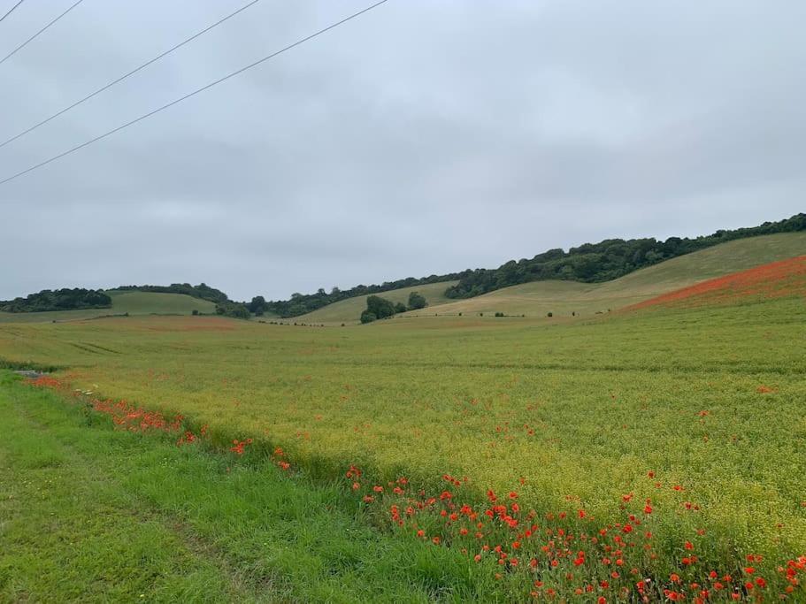 Hollingbourne Romantic Shepherds Hut With Stunning Sunsets מראה חיצוני תמונה